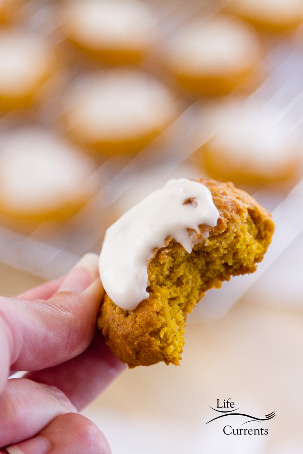 A bite taken out of a pumkin cookie that I'm holding with out of focus cookies on a tray in the background 