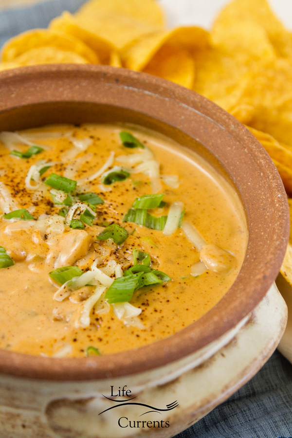 Serve this great Mexican Chili Cheese Dip in a small pot for serving