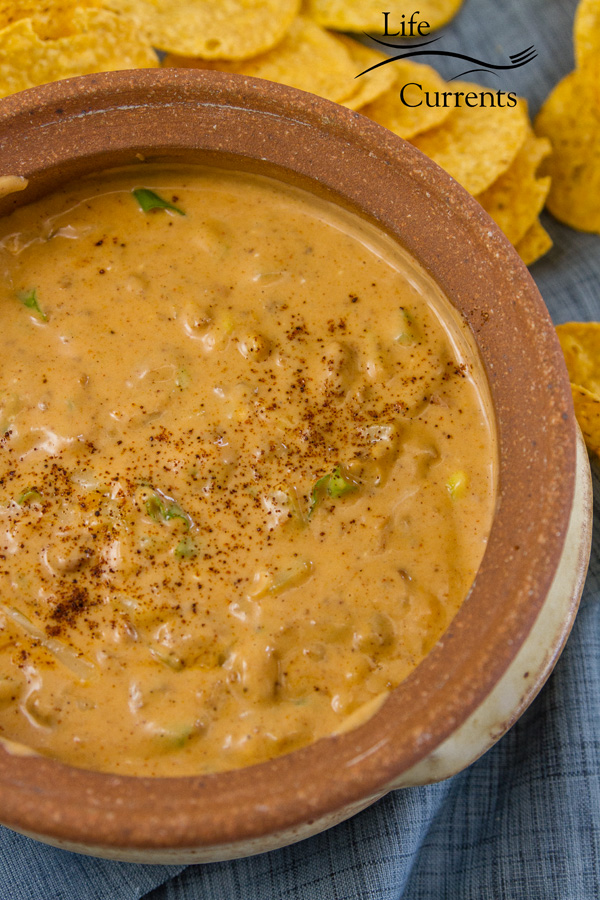Mexican Chili Cheese Dip served in a bowl with tortilla chips 