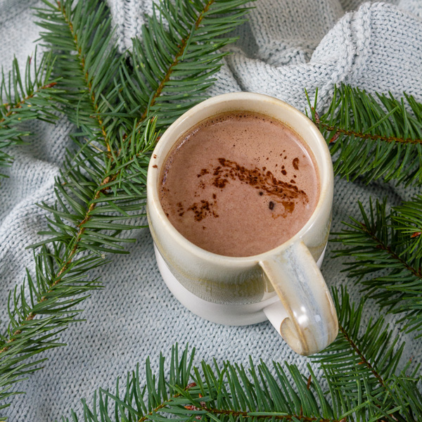 square crop hot cocoa on blue background with evergreens 