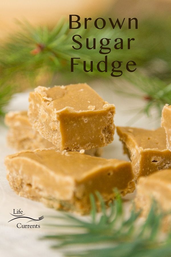 This buttery melt-in-your-mouth delicious old-fashioned Brown Sugar Fudge has the warm flavor of caramel and reminds me of a fabulous New Orleans praline. It’s perfect on a Christmas dessert tray or included in a cookie exchange. You'll want to keep this recipe handy, as gift giving season approaches. pieces of brown sugar fudge with some fir branches around them