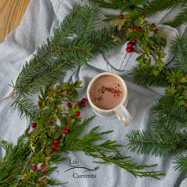 top down shot with lots of room around the mug of hot cocoa and evergreens