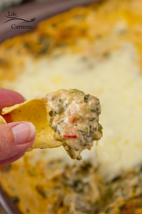 Cheesy Fiesta Spinach Dip - I made this dip to take to a neighbor’s potluck party recently, and it was a huge hit. I had several people ask me for the recipe. A tortilla chip with hot Spinach Dip on it