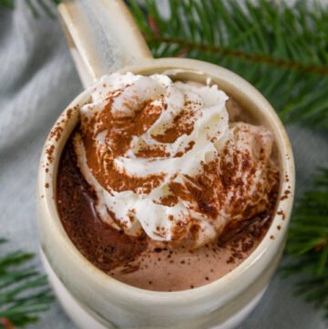 whipped cream on top of hot cocoa with tree boughs