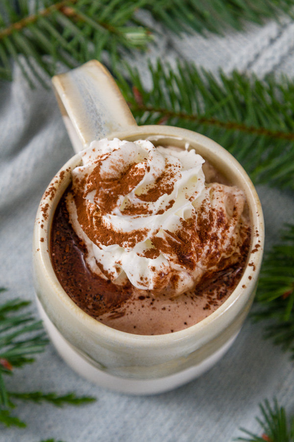 whipped cream on top of hot cocoa with tree boughs 