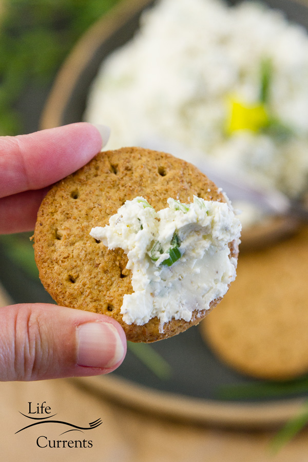 cheese spread on a whole wheat cracker