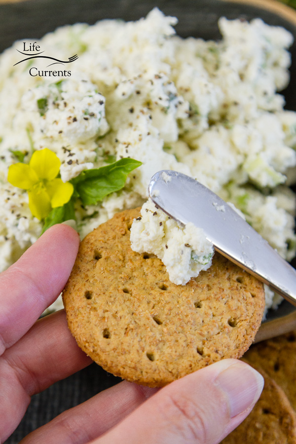 spreading feta cheese spread on a cracker with a knife