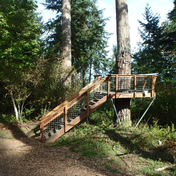 The first platform on the zipline tour