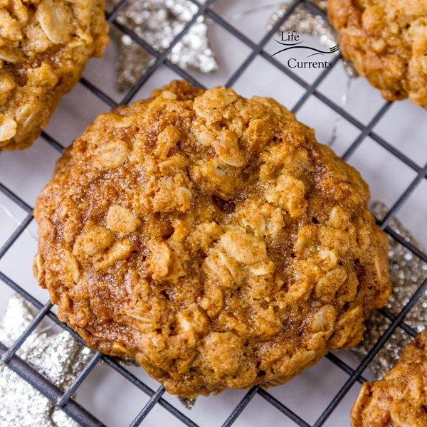 Crispy edges, chewy in the middle, and wholesome perfectly balanced Famous Oatmeal Cookies. These are my favorite cookies, and they are the classic original recipe! an oatmeal cookie, square crop, on a cooling rack