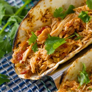 looking down into a chicken taco with some cilantro