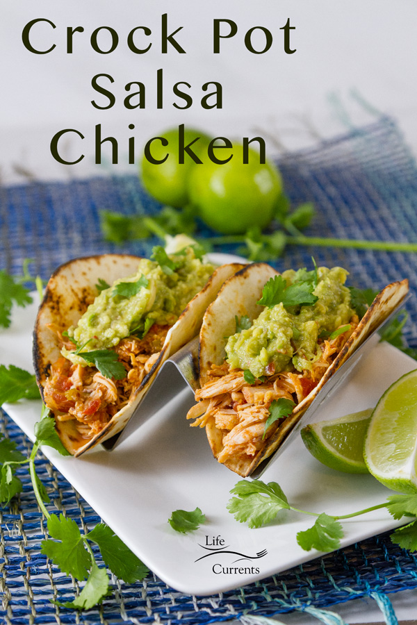 two chicken tacos in a taco holder on a white plate with limes and cilantro