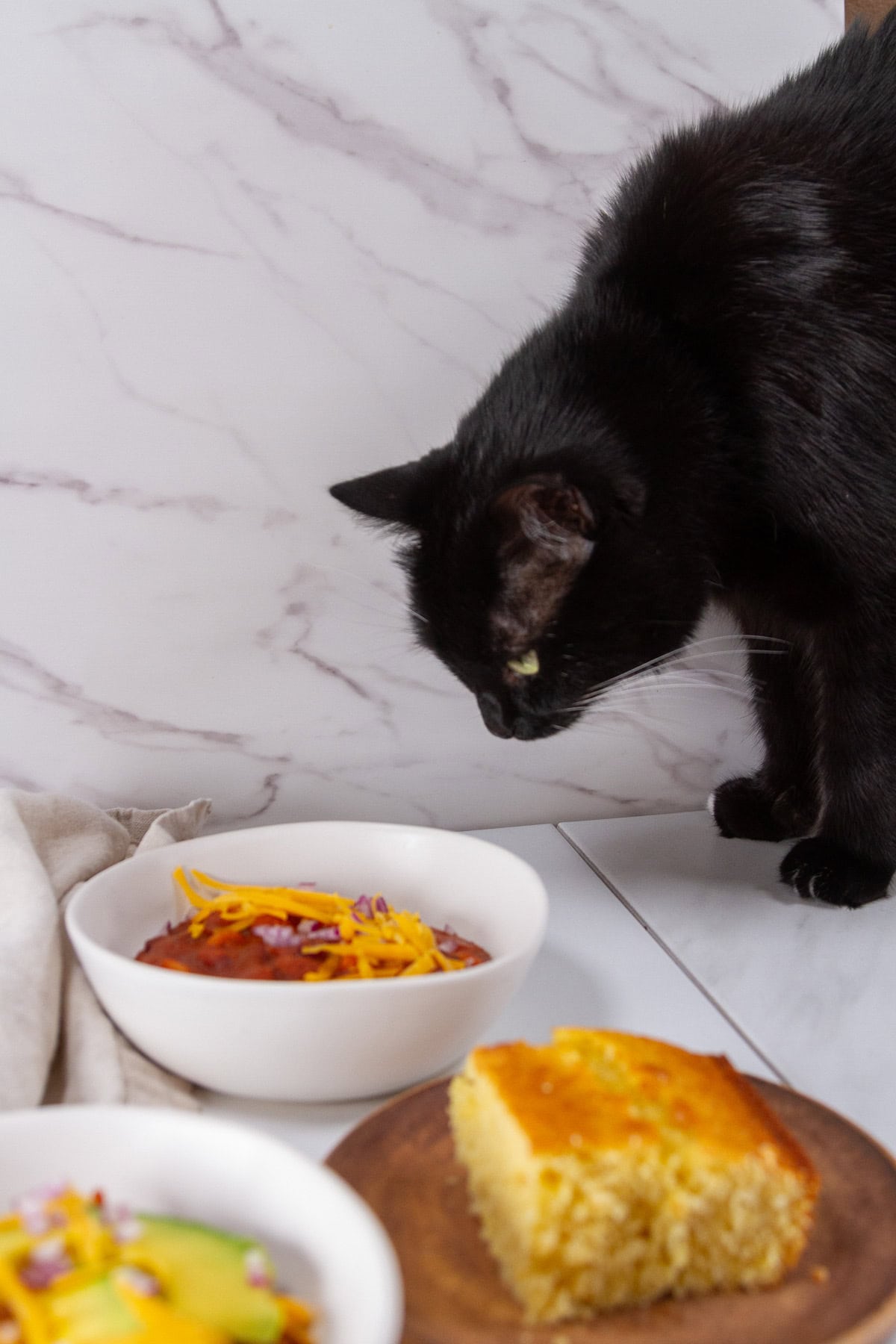 a black cat looking at bowls of chili.