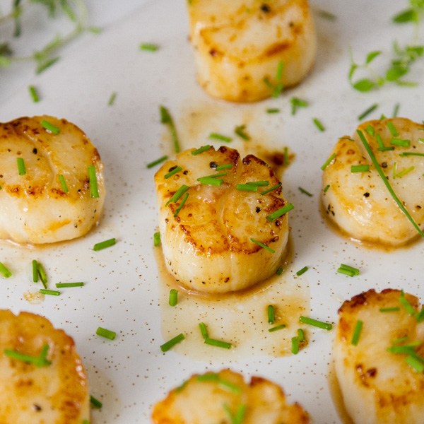 square crop of 7 seared Vanilla Dusted Scallops