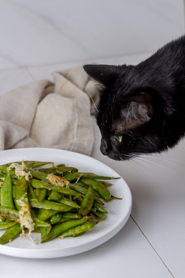 a black cat looking at a plate of cooked pea pods.