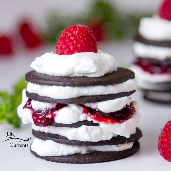 square crop of Chocolate Raspberry Icebox Cakes straight on shot