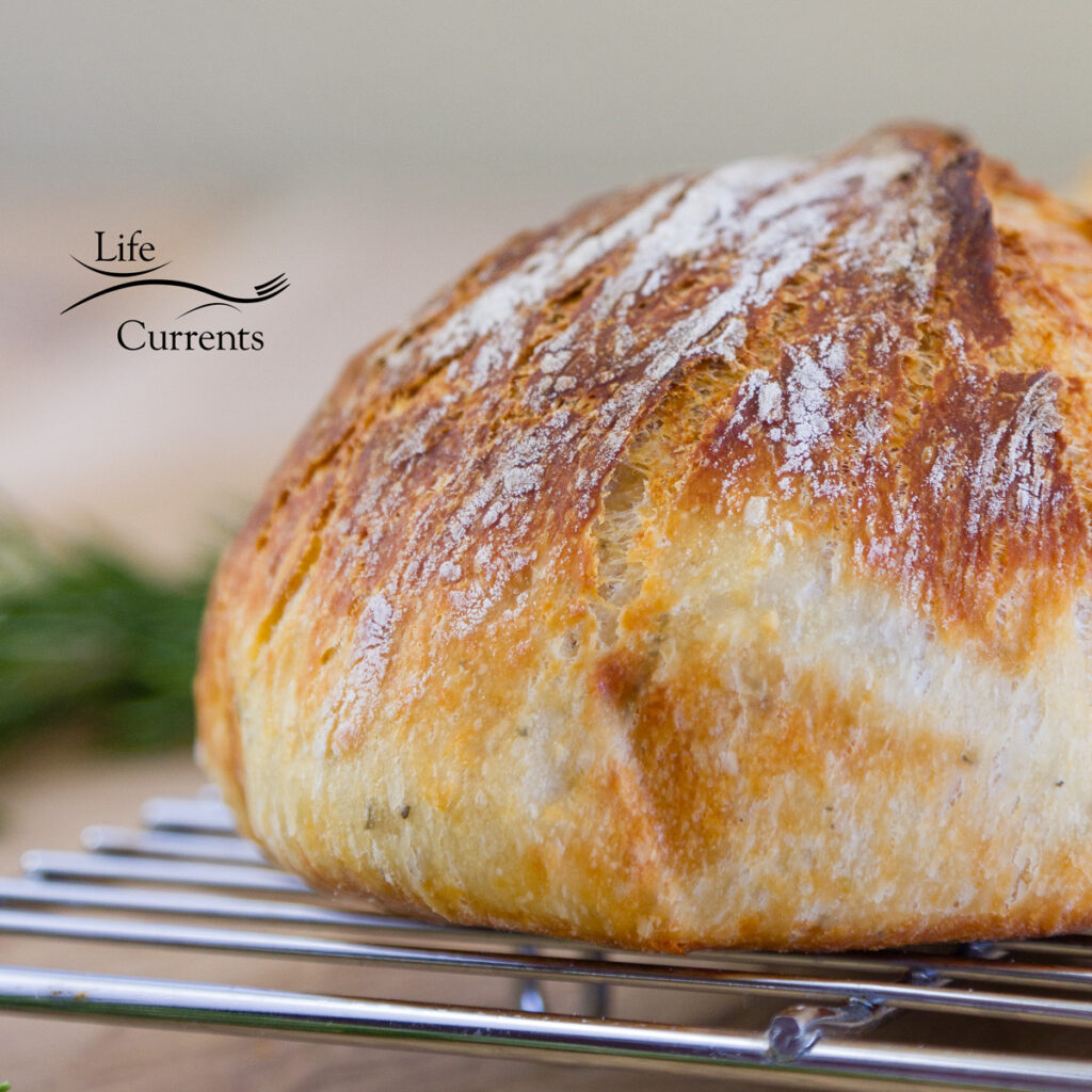 a loaf of No-Knead Parmesan Rosemary Bread on a cooling rack with Life Currents logo in the upper left
