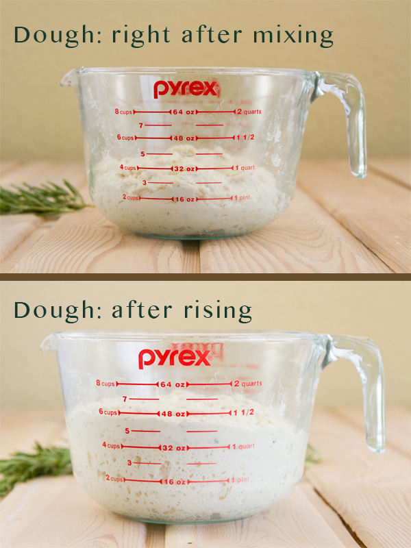 Two images comparing dough rising. Top: title: dough: right after mixing, and the dough in the glass measuring cup. Bottom image: title: Dough: after rising with the dough in the same glass measuring cup