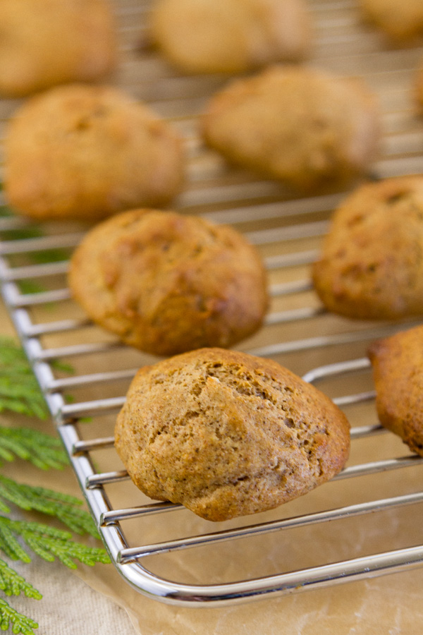 spice cake-cookies from the oven and cooling on a rack