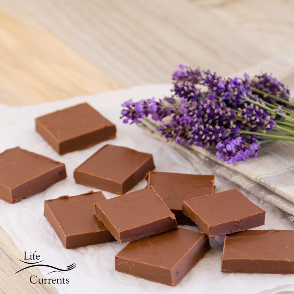 square crop of Two Ingredient Peanut Butter Chocolate Fudge on parchment paper with lavender in the back