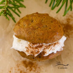 One sandwich cookie on parchment paper with green tree boughs