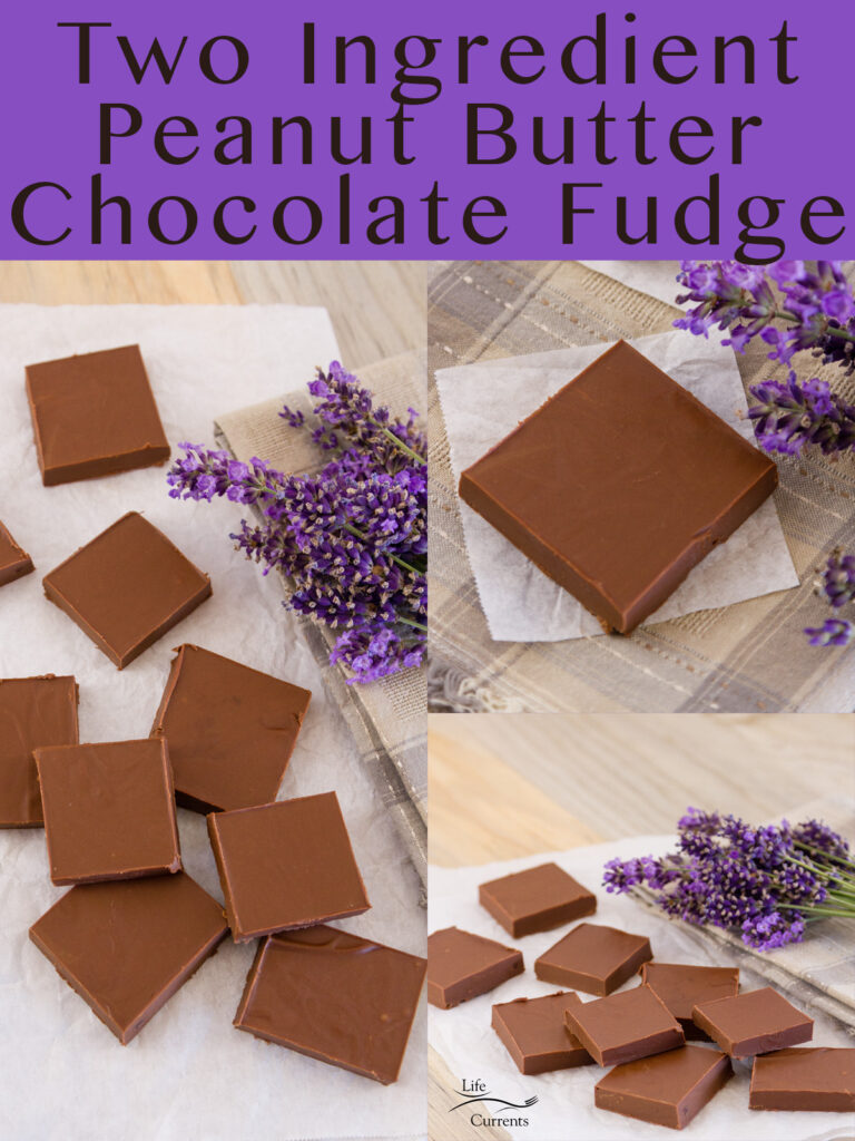 three image collage of Two Ingredient Peanut Butter Chocolate Fudge with title on top