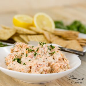 square crop of salmon pate with crackers, lemons, and parsley in the background