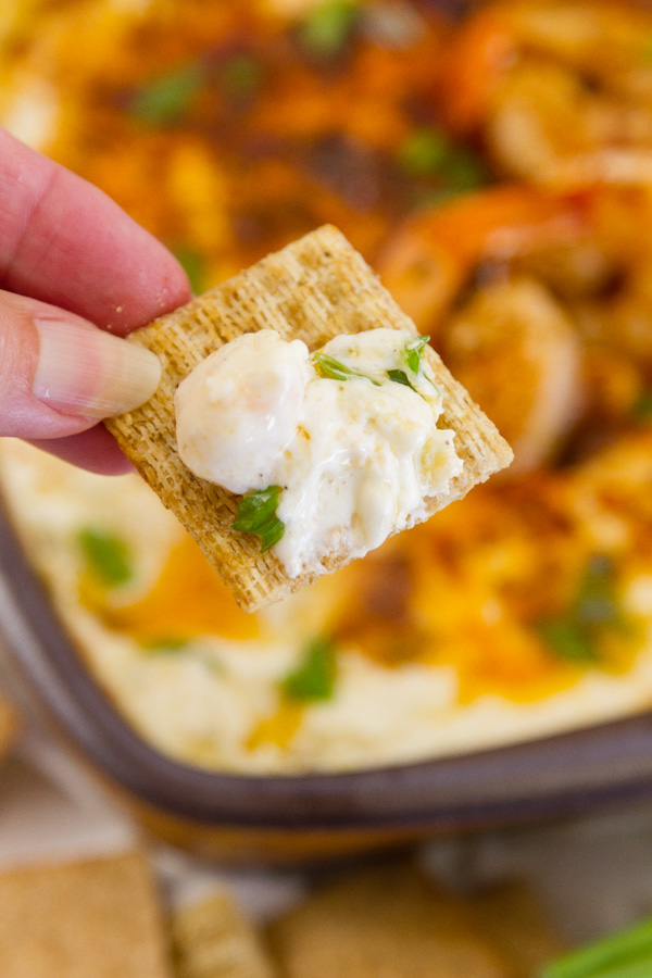 a cracker with a serving of Cheesy Shrimp Dip being held up to the camera