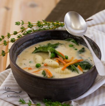 square crop of Vegetable Gnocchi Soup Recipe