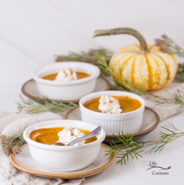square crop of 3 custards on plates with a small pumpkin in the background
