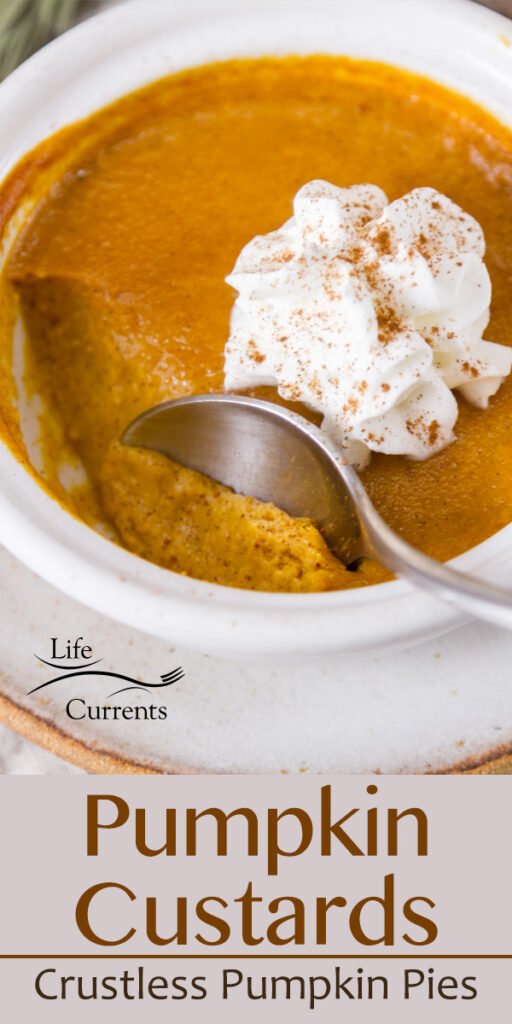 close up on a custard with a spoonful being taken out of it. Whipped cream on custard. Title at bottom: Pumpkin Custards Crustless Pumpkin Pies