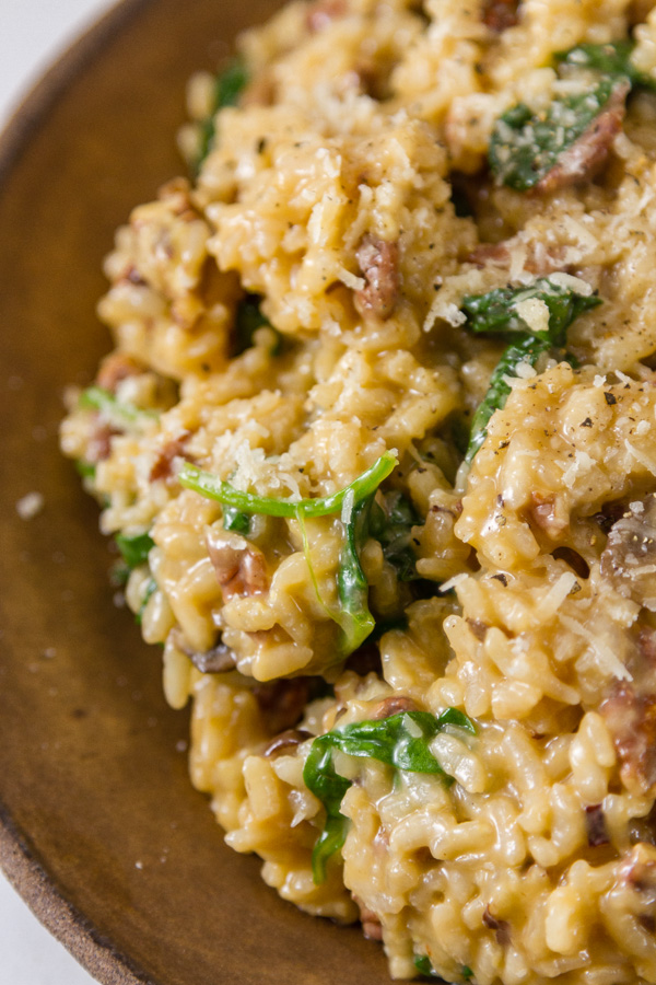 close up shot of mushrrom risotto