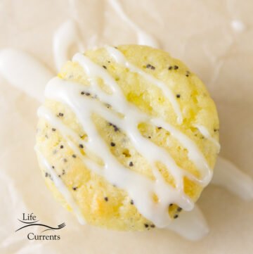 close up on a packcake muffin with poppy seeds in it and lemon glaze on the top, square crop