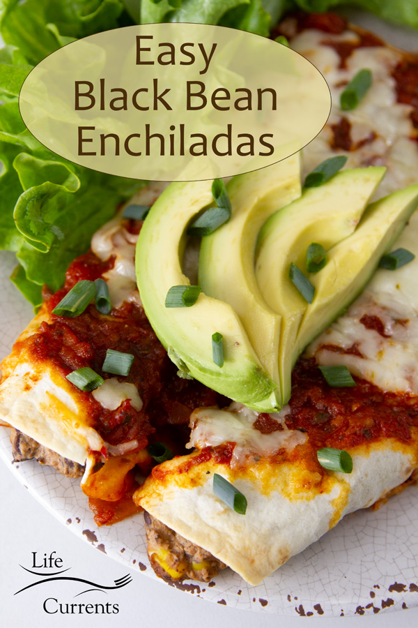 looking down on enchiladas on a plate topped with avocado and green onions