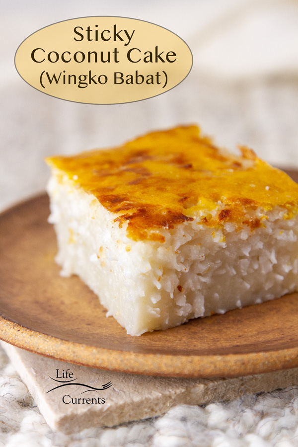 a slice of coconut cake on a brown plate, title on image: Sticky Coconut Cake (Wingko Babat).
