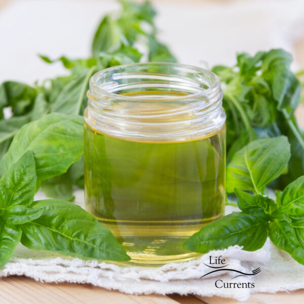 Basil Simple Syrup - Life Currents - for adding to cocktails, mocktails ...