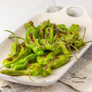square crop of cooked Shishito Peppers on a white tray.