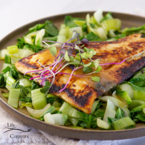 square crop of cooked fish on bok choy garnished with sprouts and sauce