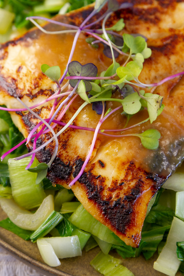 close up on cooked miso marinated black cod with bok choy, sprouts, and miso sauce.