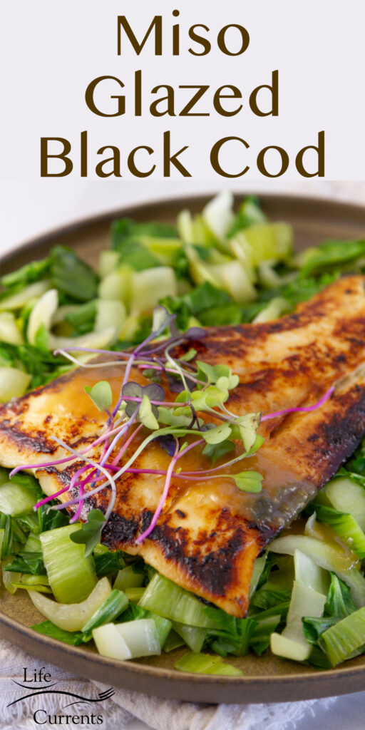 a piece of cooked fish on cooked bok choy, title on top: Miso Glazed Black Cod.