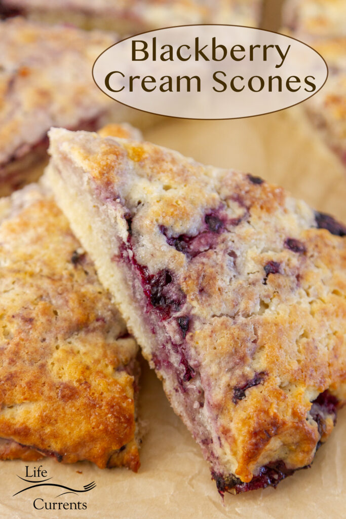 a scone laying over another scone, title on image: Blackberry Cream Scones.