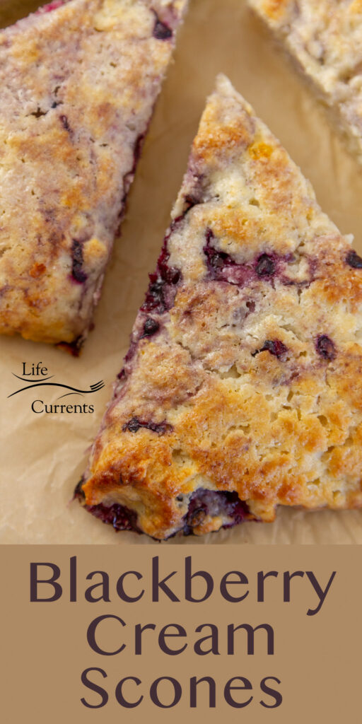 a Blackberry Cream scone on parchment paper, title on bottom of image.
