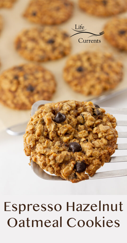 Espresso Hazelnut Oatmeal Cookies on a tray in the background and one cookie on a spatula.