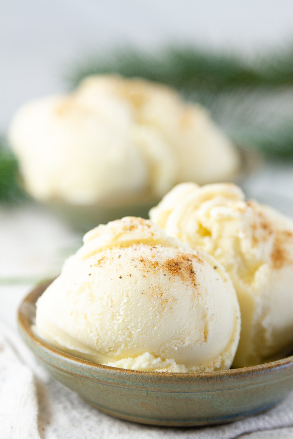 two bowls of ice cream with greenery around them.