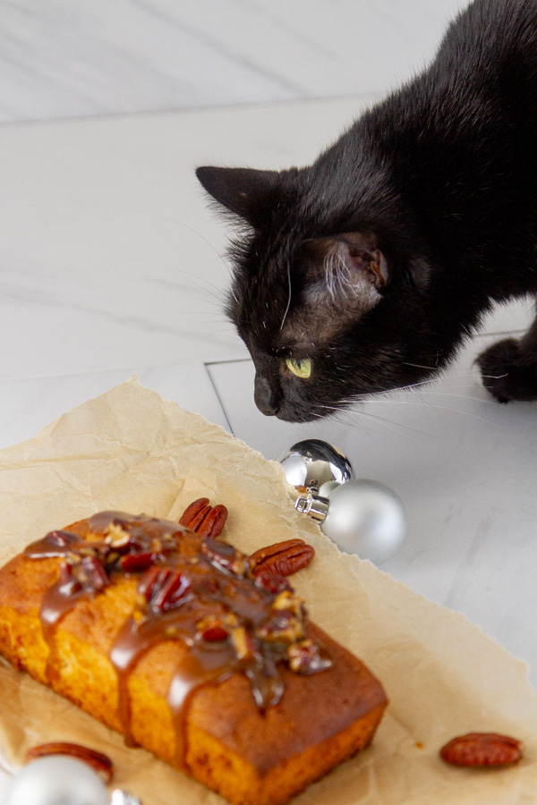 a black cat looking at a cake.