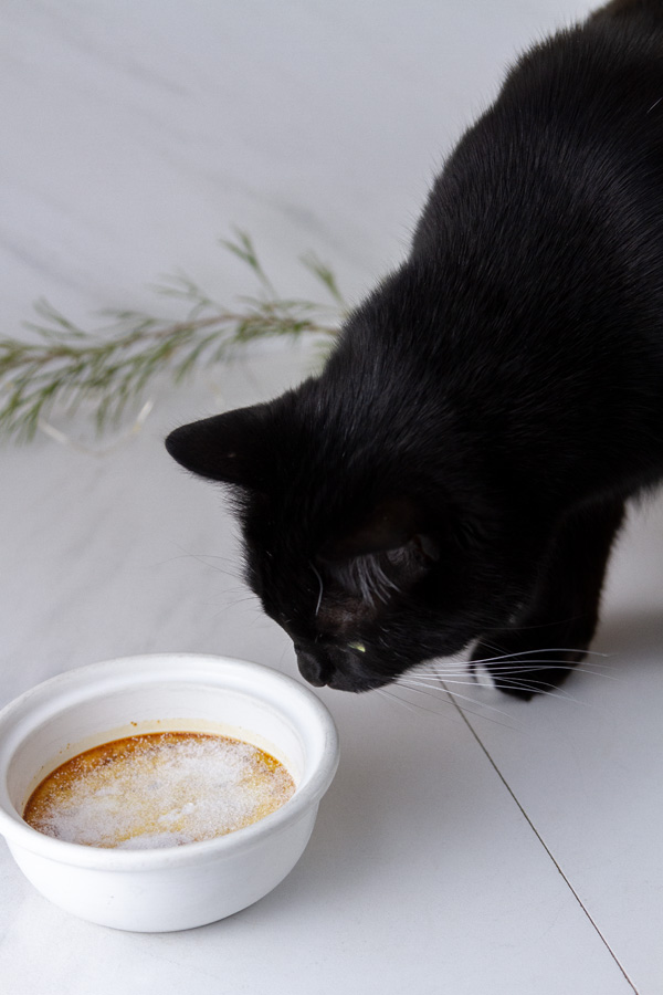 a black cat looking at a custard in a ramekin.