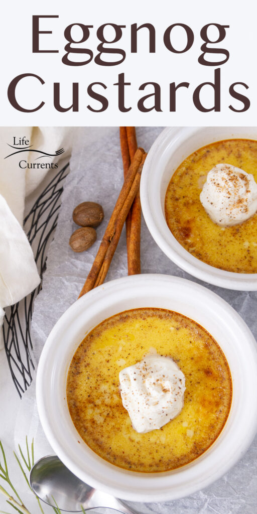looking down on two bowls of eggnog custards with whipped cream, spices around them.