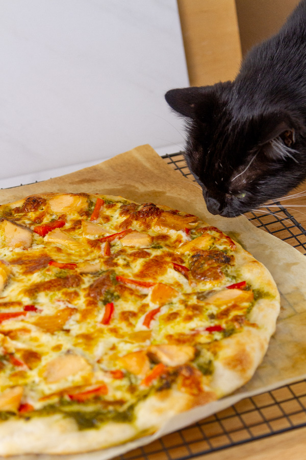 a black cat looking at a pizza.