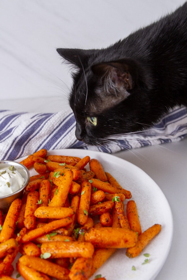 a black cat looking at a plate of carrots.