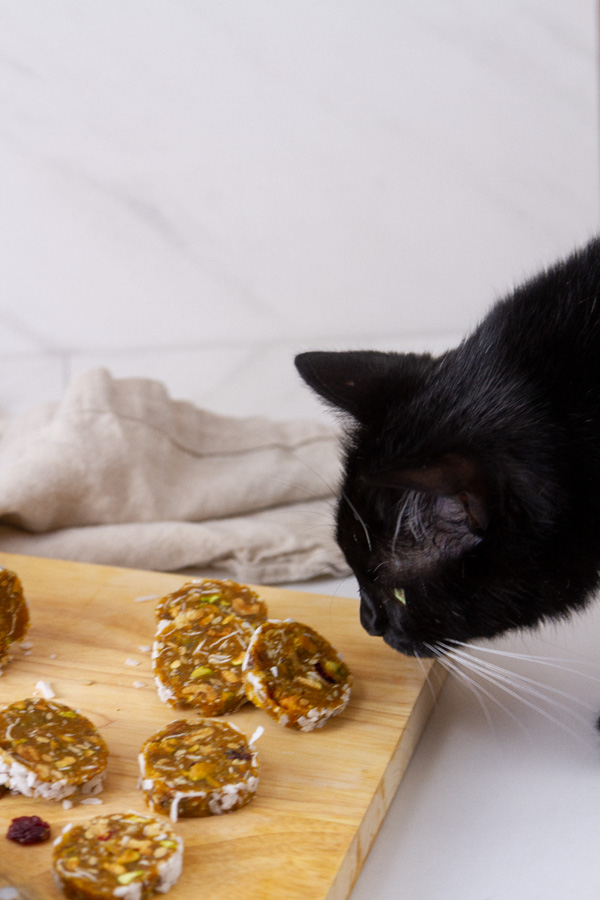 a black cat looking at a wooden cutting board with fruit and nut wheels on it.
