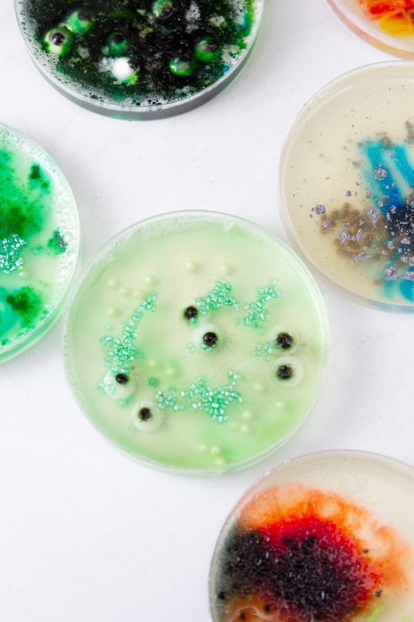 looking down into edible petri dishe gelatin with sprinkles and eyeballs.